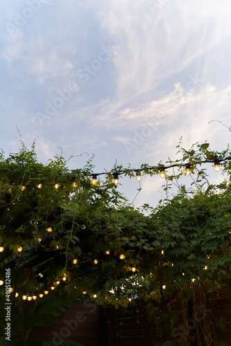 Illumination in the patio. Evening lighting with beautiful light bulbs at a birthday party