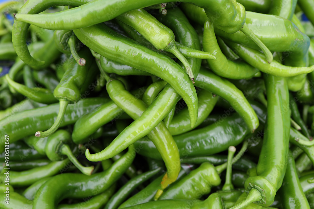 freshly harvested green chillies at the market
