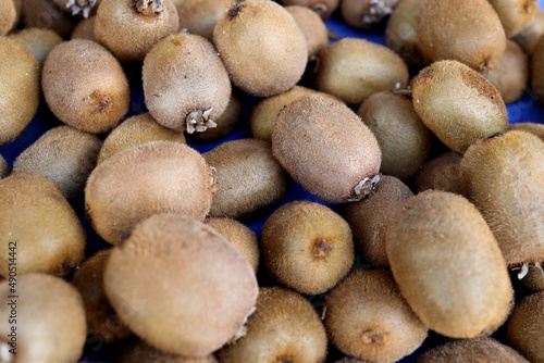 kiwi harvest. many kiwis. kiwi harvest top view. kiwi close up