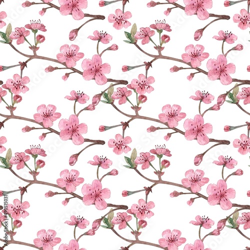 Fototapeta Naklejka Na Ścianę i Meble -  Seamless pattern of cherry and cherry blossoms, pink flowers, a twig with spring flowers