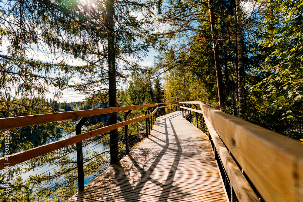 Concept of decision or choice using a wooden boardwalk in dense forest.