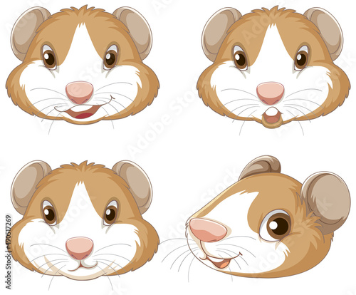 A Cute guinea pig on white background