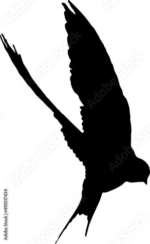 Hirondelle rustique, oiseau en silhouette jeune au printemps. Noir sur fond transparent 