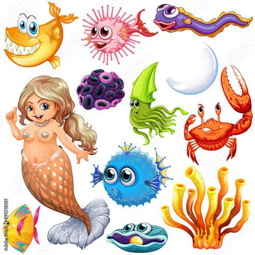 Different types of sea animals