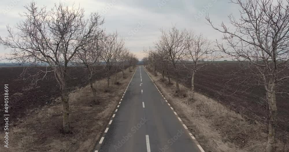 Aerial Forward Through Lonely Empty Road Between Bare Trees. Drone Shot Aerial Forward Through Lonely Empty Road Between Bare Trees. Drone Shot