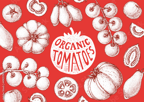 Tomatoes sketch hand drawn illustration. Organic tomato design template. Vector illustration. Healthy food frame. Ketchup package design elements. Tomato vegetable.