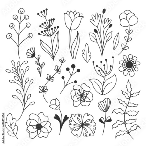 Big vector set of Flowers. Hand drawn Flower and branch doodle. Branches, petals, flowering plants, and others. Black and white sketch of bouquets, romantic leaves. Isolated on white background.