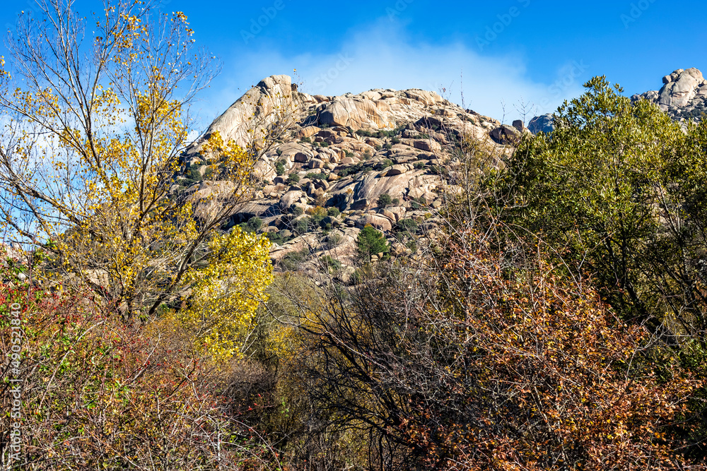 Fall, vegetation and Sirio cliff in The Pedriza Regional Park. Madrid. Spain. Europe.