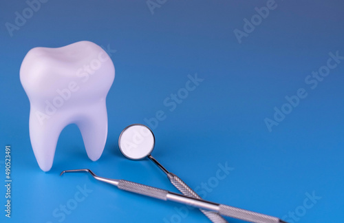 Tooth model and dentist tools on a blue background.Copy space. © Olivka888