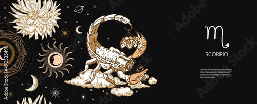 Scorpio zodiac sign. Scorpio among the clouds. Basket of flowers. Astrology.