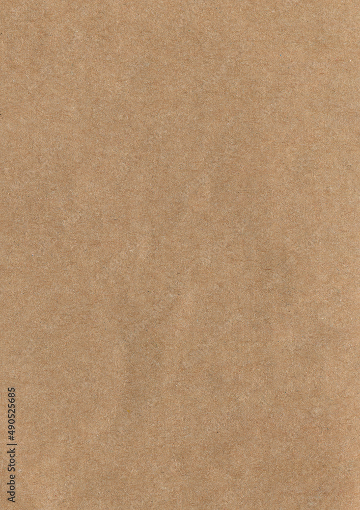 Fototapeta premium Vertical light beige retro textured Japanese gift wrapping recycled paper background