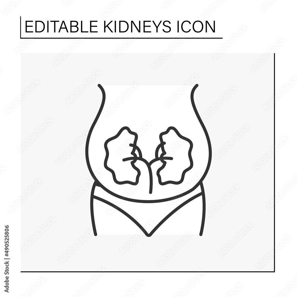 Obraz premium Kidney line icon. Unhealthy internal organ.Enlarged kidneys. Human internal organ. Healthcare concept.Isolated vector illustration.Editable stroke