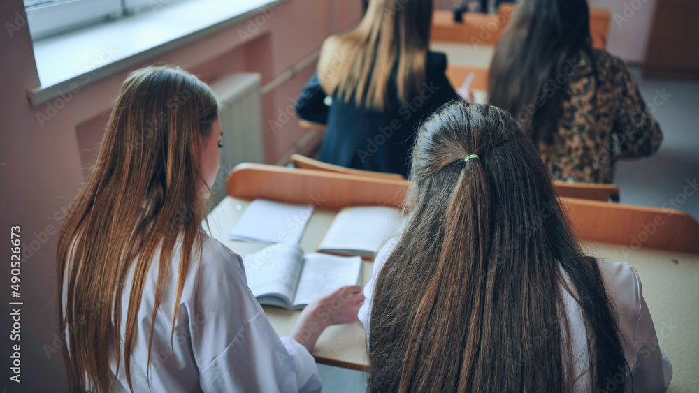 Pupils of the 11th grade in the class at the desks during the lesson. Russian school. Pupils of the 11th grade in the class at the desks during the lesson. Russian school.
