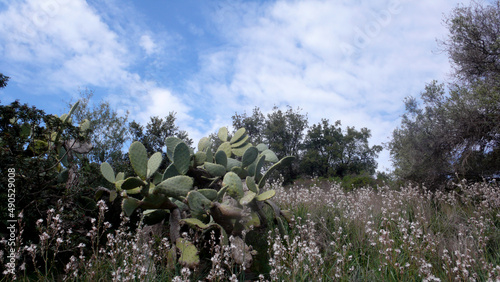 Paesaggio di Sardegna