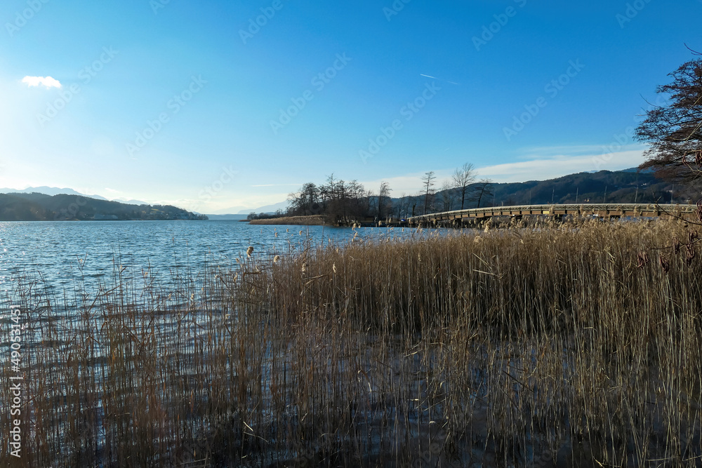 Reed with view on Woerthersee from Poertschach in Carinthia, Austria. A footbridge on the Schlangeninsel (island of snakes). Sunny autumn day with clear sky. Lake Woerth. Karawanks Alps