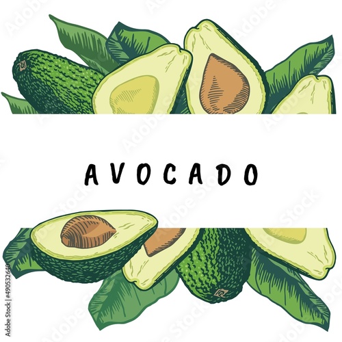 Avocado fruits for labels, posters, prints.