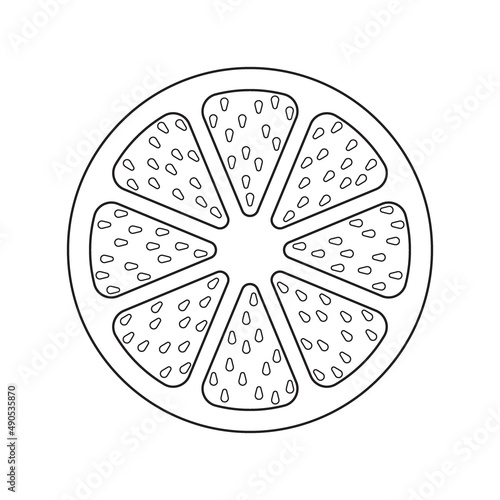 Fruit cut - orange, lemon, grapefruit, black and white icon. Illustration.