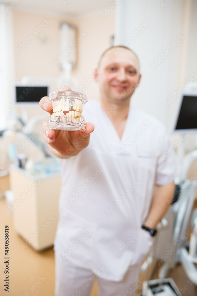 Focused close-up of a miniature of dental artificial jaws. Orthodontist dentist holds a model of teeth in his hands.