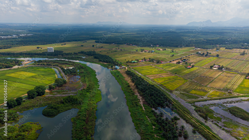 Aerial drone view of green paddy fields in Sungai Rambai, Melaka, Malaysia.