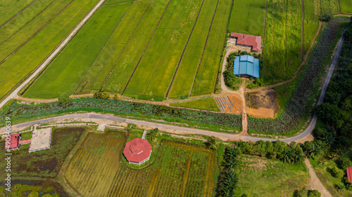 Aerial drone view of green paddy fields in Sungai Rambai, Melaka, Malaysia. photo