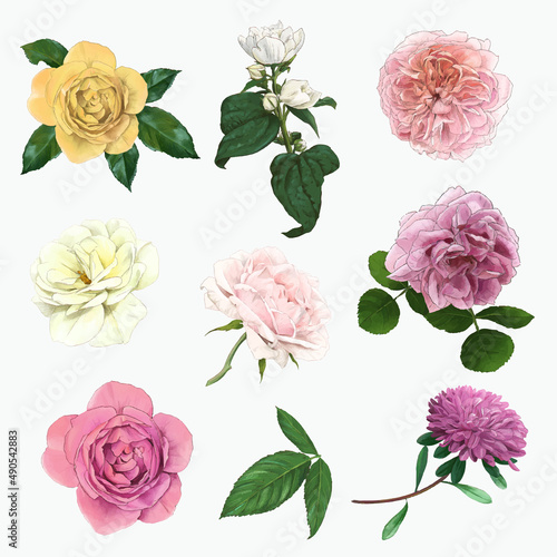 Set of gentle english roses, hand drawn vector