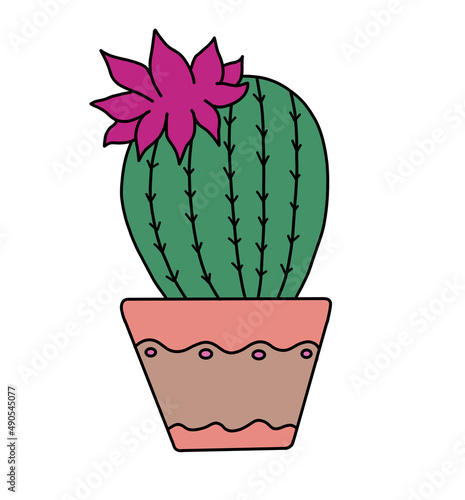 cactus in a pot with a pink flower