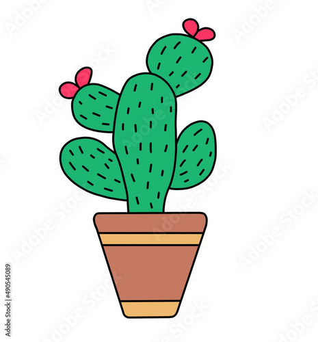 cactus in a pot with a red flower