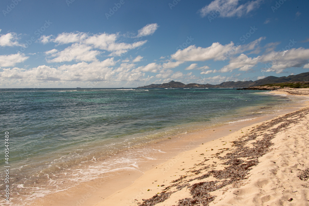 Ile Tintamarre, Réserve naturelle nationale de Saint Martin, Petites Antilles Ile Tintamarre, Réserve naturelle nationale de Saint Martin, Petites Antilles