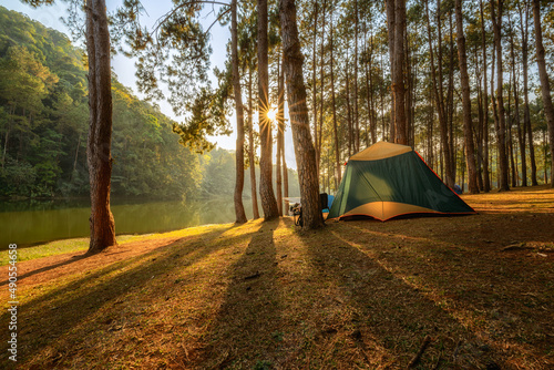 The beautiful scenery of a tent in a pine tree forest at Pang Oung, Mae Hong Son province, Thailand.