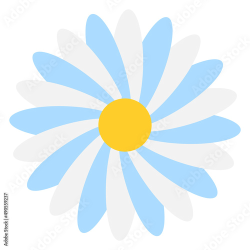 simple flower of blossoming and blooming blue chamomile. Illustration
