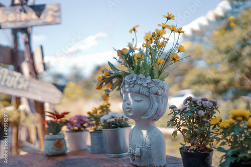 decoration of plant and flo...