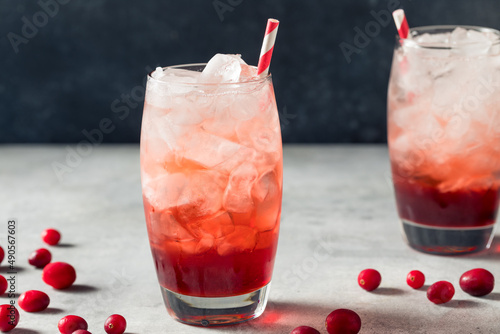 Homemade Refreshing Lingonberry Soda
