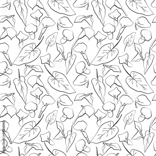 Seamless background with leaves, flowers. Line drawing. Lines have different widths. Calla lilies. vector graphics, 1000x1000.