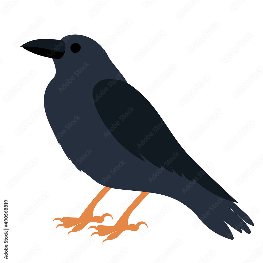 Obraz premium Raven flat design, isolated vector