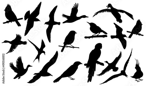birds set silhouette isolated vector © zolotons
