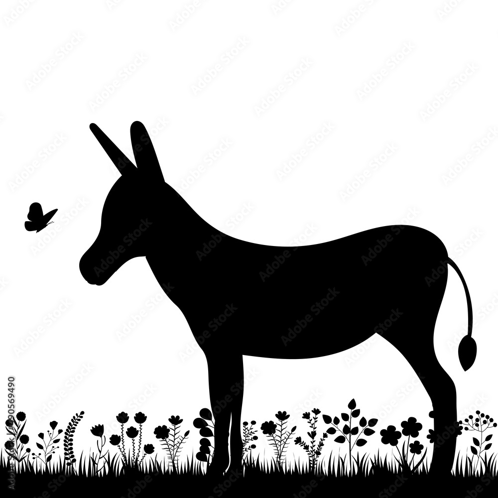 donkey in the grass silhouette isolated vector