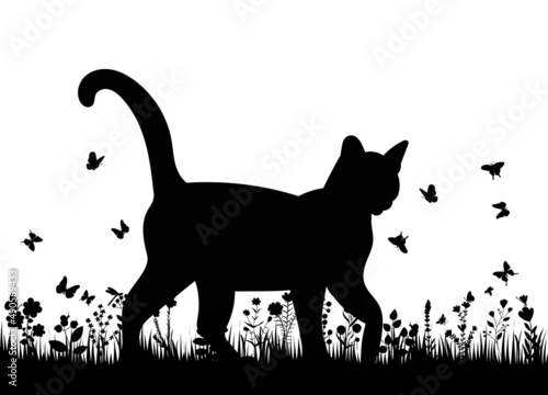 cat in the grass silhouette isolated vector