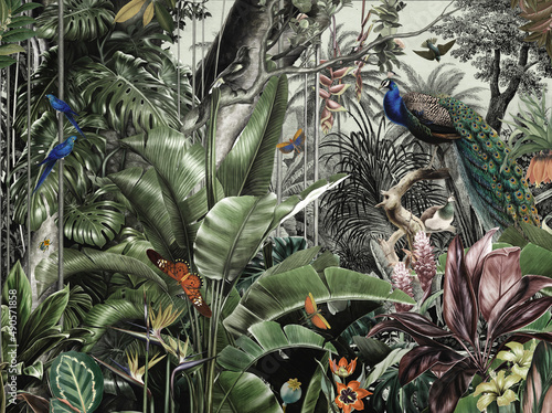 Fototapeta wallpaper jungle and tropical forest flamngo and tropical birds, old drawing vin