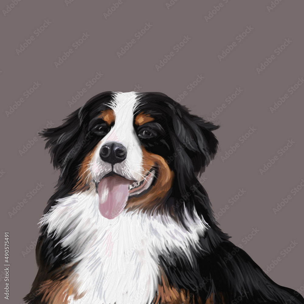 Dog. Sennenhund. Breed. Digital illustration, pet portrait