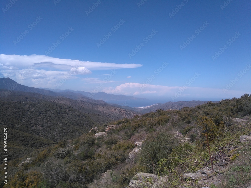 Naklejka premium roses espagne