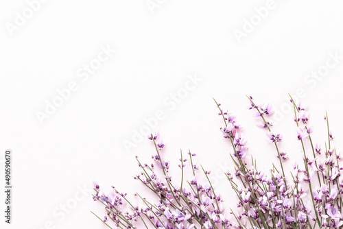 Flowers composition. Pink flowers on pink background. Easter  spring concept. Greeting card.