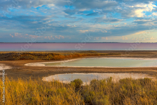 Sasyk Sivash  salt lake with pink water.