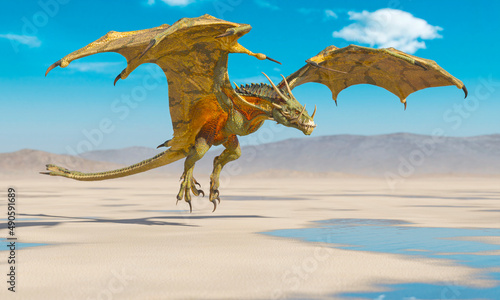 dragon is landing on the desert after rain © DM7