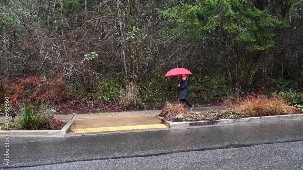 Woman with red umbrella walking on a rainy winter day, residential ...