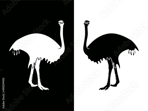 high-contrast card with monochrome ostrich