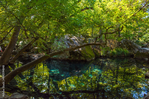 Alupkinsky Park (also known as Vorontsov Park) photo