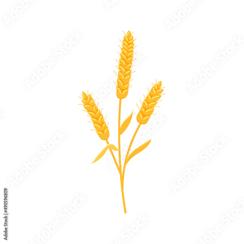 Wheat spike with grain icon isolated on white background. Gold rye ear agriculture faeming plant. Flat design cartoon style vector illutration.