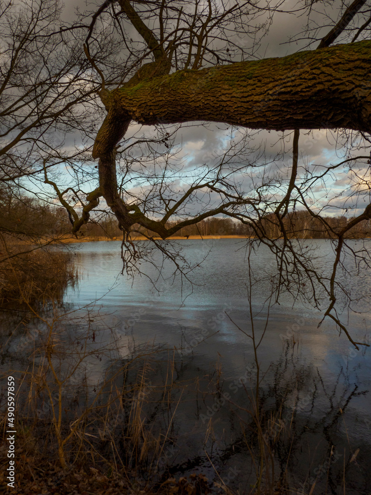 Obraz premium Winterruhe im Biosphärenreservat der Oberlausitzer Heide- und Teichlandschaft