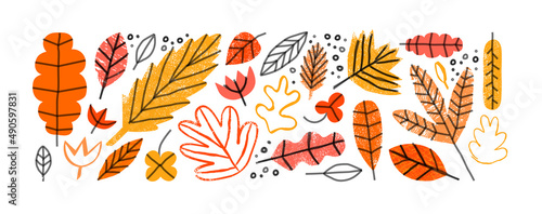 Funny autumn season leaf drawing illustration set. Hand drawn tree leave shapes on isolated background for kid education or fall concept.