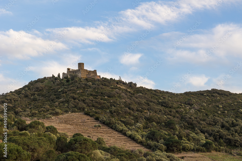 Vue sur le Fort Saint-Elme depuis le Moulin de la Cortina à Collioure (Occitanie, France)